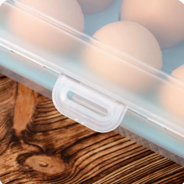 15 Grid Egg Storage Box Plastic Egg Organizer for Kitchen