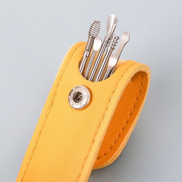 6PCS Ear Cleaner Set Ear Wax Removal Tool Kit with Case