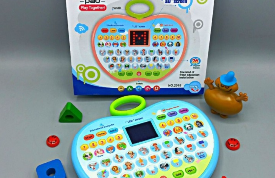 Educational Computer