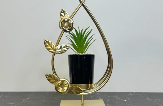 Flower Globe Plant