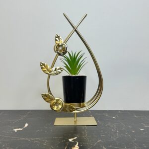 Flower Globe Plant