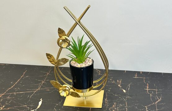 Flower Globe Plant - Image 2