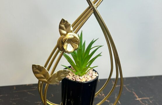 Flower Globe Plant - Image 3