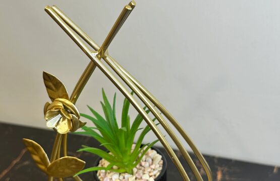 Flower Globe Plant - Image 4