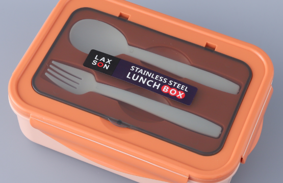 Stainless Steel Lunch Box for Kids School, 2 Compartment