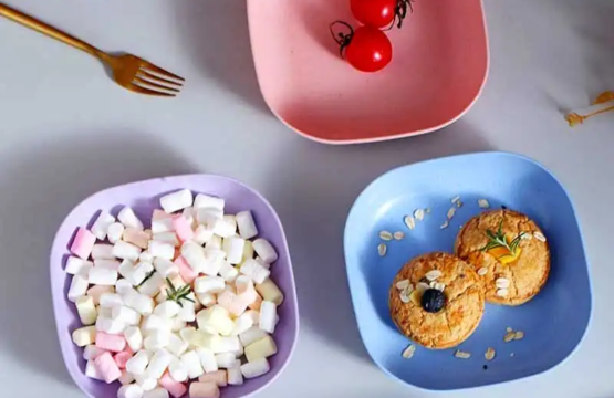 8 Pieces Plastic Plate Set with Stand Lightweight Stackable Plates for Indoor & Outdoor Use - Image 3