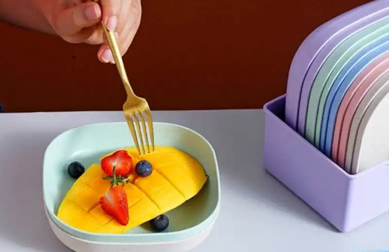 8 Pieces Plastic Plate Set with Stand Lightweight Stackable Plates for Indoor & Outdoor Use - Image 4