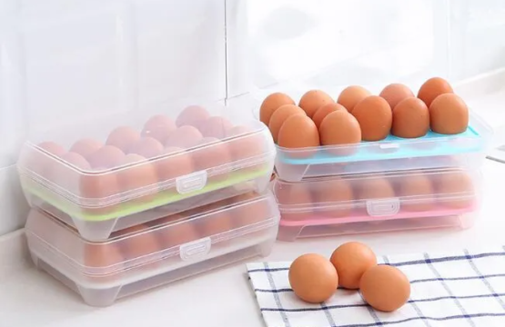 15 Grid Egg Storage Box Plastic Egg Organizer for Kitchen and Travel