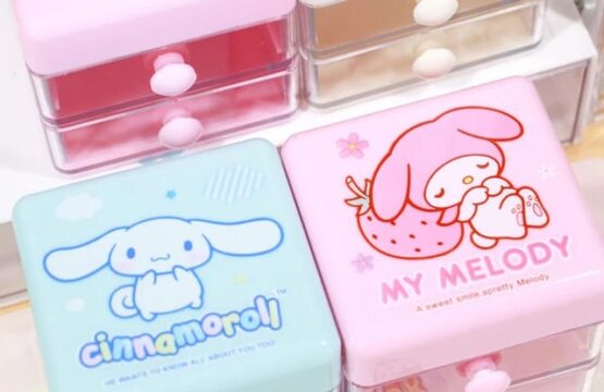Hello Kitty Cartoon Printing Double-Layer Storage Box - Image 2