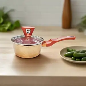 BAROLY Sauce Pan Non-Stick