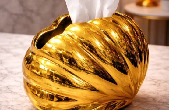 Luxury Plastic Shell Tissue Box (Random Color)